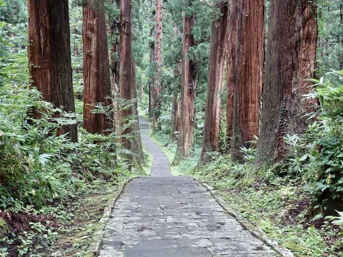 【山形】出羽三山は12年に一度の丑歳御縁年を迎えています