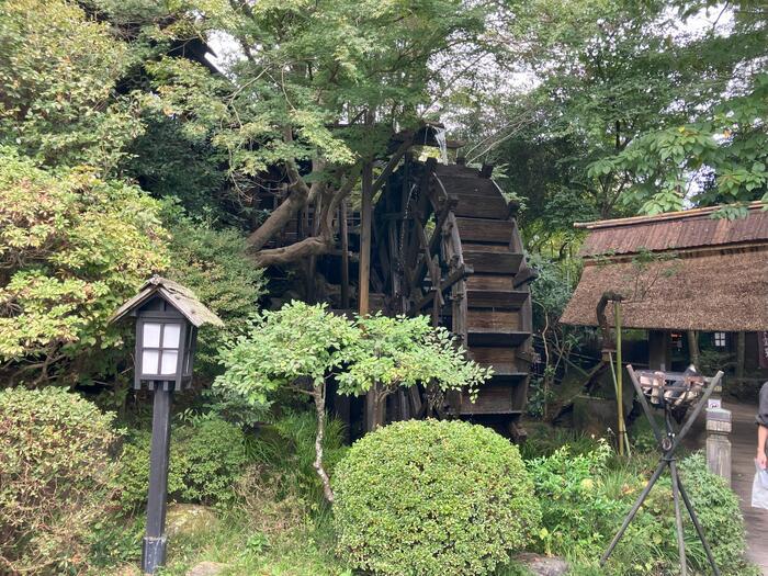 【あきる野市・黒茶屋】約300年前に建てられた古民家農家　緑の中で食す山里料理