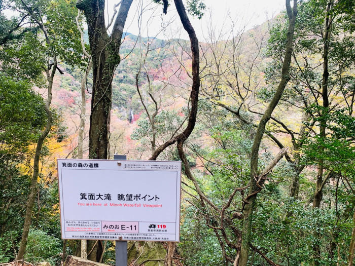 駅から歩いて30分で大絶景！「箕面大滝」と気軽な山登りでリフレッシュ！！