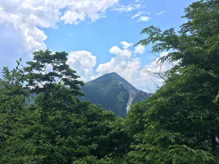 【奥武蔵】武川岳～焼山～二子山 縦走登山ルート