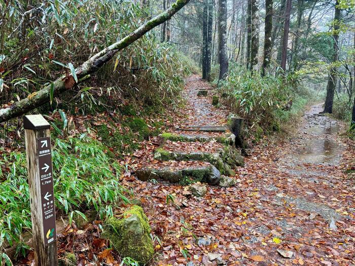 【日本百名山】24座目は大台ヶ原山を周回するはずが...（奈良県・三重県）