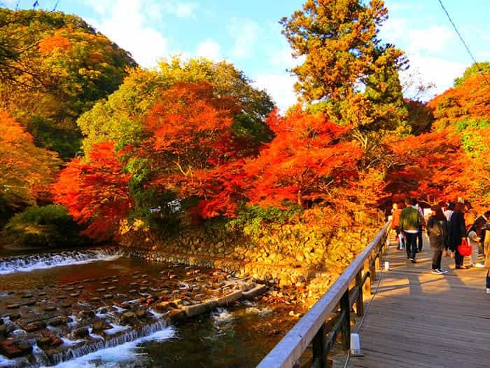 インスタ映え間違いなし★ため息が出るほど美しい瑠璃光院の紅葉