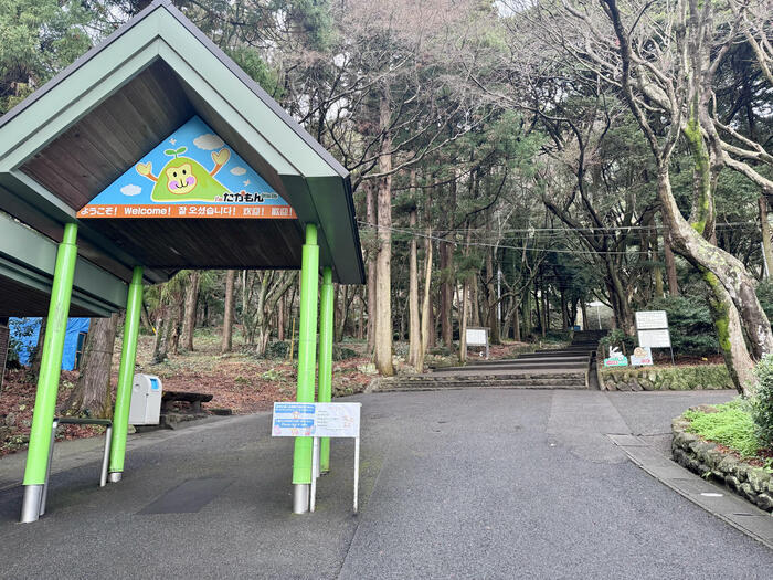 【大分】おサルさんの聖地でこんにちは！高崎山自然動物園