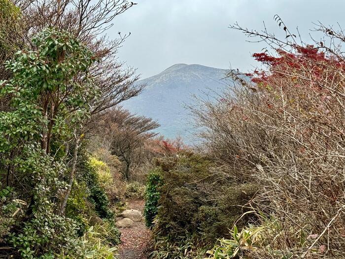 【日本百名山】26座目は摩訶不思議な世界が広がる久住山（大分県）