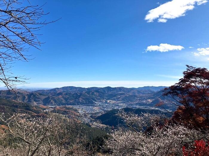 【群馬・藤岡市】桜山公園で森林空間を楽しむセラピー・トレイル体験モニターツアー