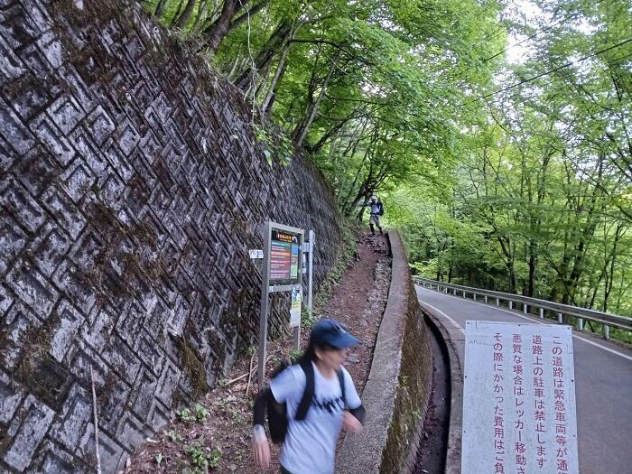 【鬼滅ファンに人気の聖地】東京都最高峰の百名山『雲取山』に新緑登山2024！！