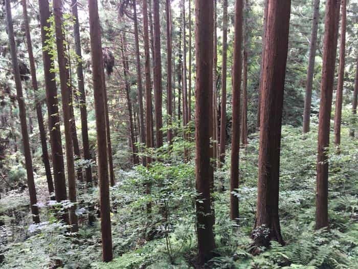 【山形】裏山寺！パワースポット峯の浦（垂水遺跡）を歩く