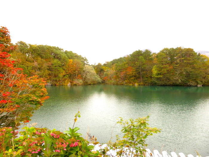 「五色沼湖沼群」散策のススメ！ 福島県裏磐梯の神秘の地を完全攻略