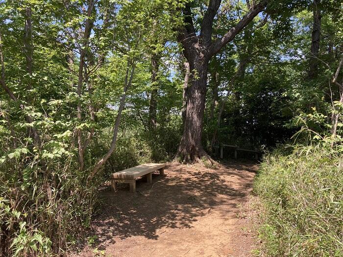 【八王子】とても公園とは思えない、しっかり山歩きを楽しめる「長沼公園」を歩く