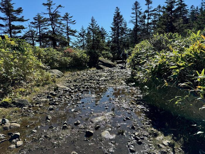 【日本百名山】22座目は西吾妻山...初級者向け？いえいえ結構大変な山でした（山形県・福島県）