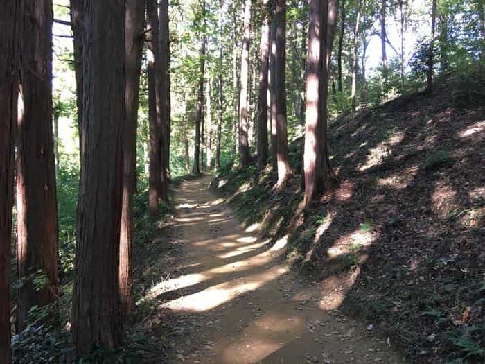 【埼玉県】飯能ハイキング・初心者向けコース（天覧山・多峯主山）