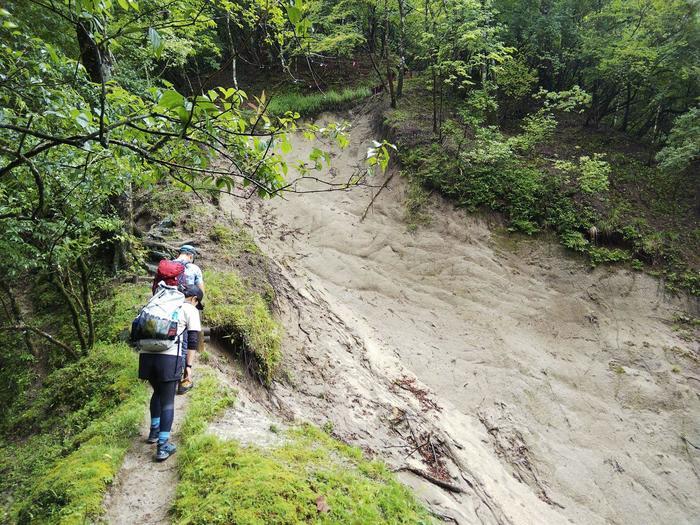 【真夏の低山登山】夏におすすめ！涼を求めて西丹沢・畦ヶ丸山を歩く