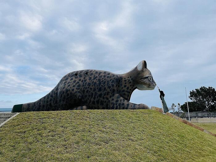 【西表島】野生動物の生態について知ろう！～西表野生動物保護センター～