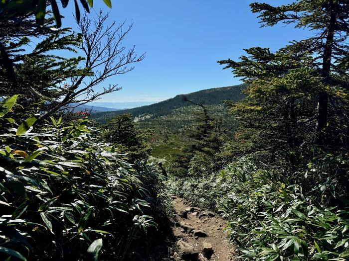 【日本百名山】22座目は西吾妻山...初級者向け？いえいえ結構大変な山でした（山形県・福島県）