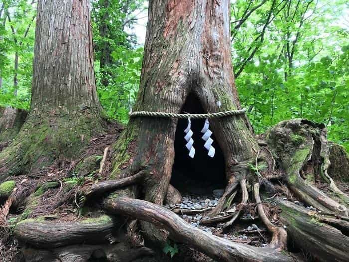 【長野】戸隠神社の見どころを紹介！ご利益、グルメ、御朱印の情報もお届け