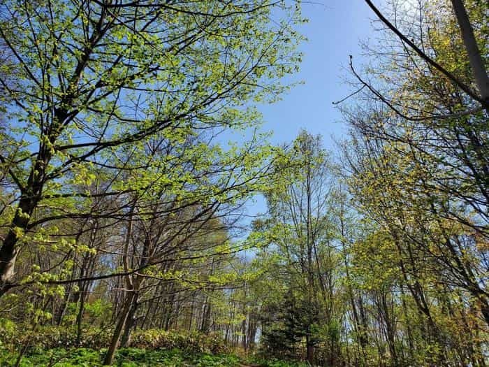 登山初心者でも大丈夫！『塩谷丸山』に登って来ました＾＾