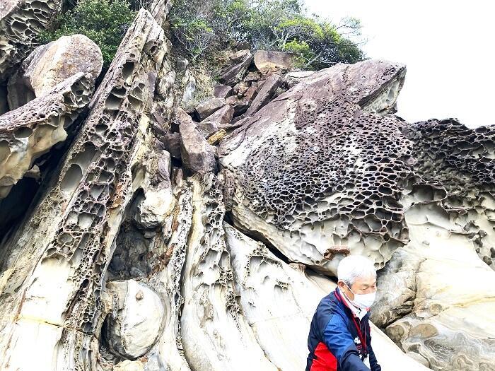 【高知県】四万十、足摺で目からウロコのSDGsを知った、そして考えた