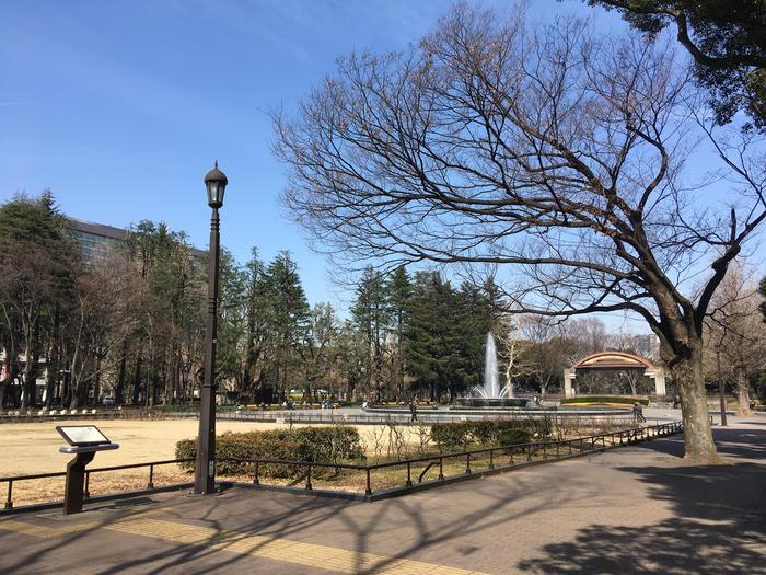 東京／お散歩好きな方必見！都心のど真ん中にこんな緑豊かな場所があるなんて・・・