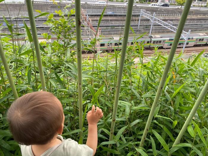 乗り物好きな子供と行きたい♪東神奈川～横浜・みなとみらい周辺のお散歩スポット11選