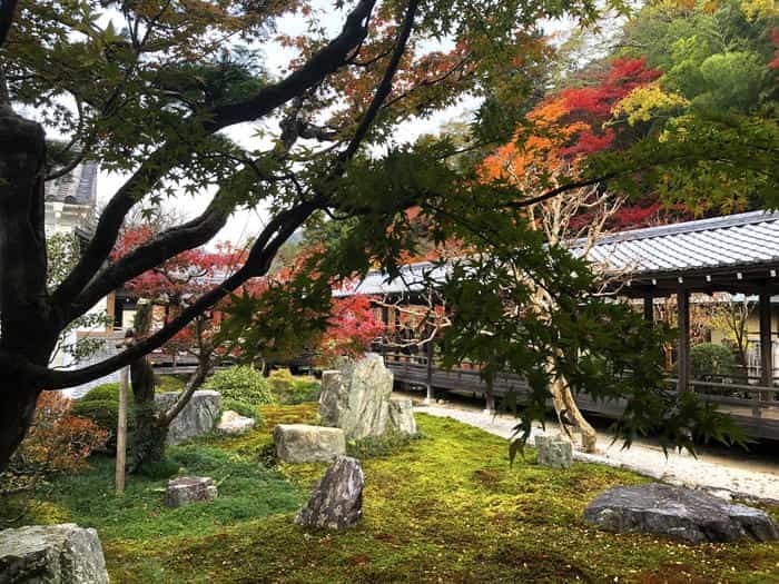 紅葉に食べられそう...秋の京都「南禅寺」と「永観堂」は素晴らしかった！