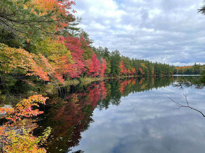 カナダ・オンタリオのリゾート地ムスコカ（Muskoka）で秋を堪能する