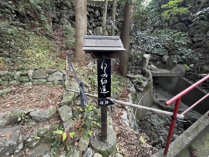 【徳島】猫神様に合格祈願！？「お松大権現」は猫好き必訪のパワースポット