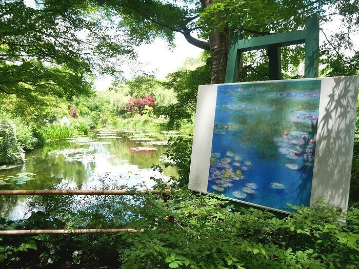 【高知】まるでモネの絵に入りこんだような至福の時間！北川村「モネの庭」マルモッタン