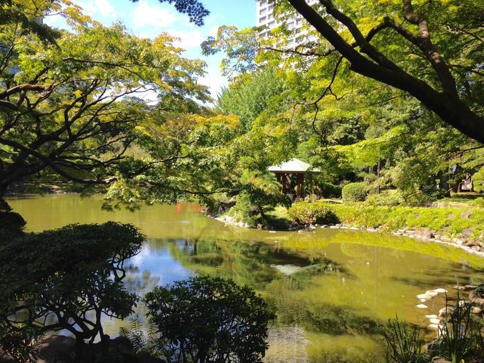 東京／お散歩好きな方必見！都心のど真ん中にこんな緑豊かな場所があるなんて・・・