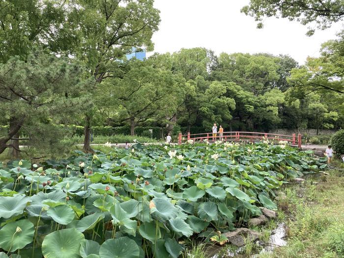 【大阪めくり歴史さんぽ】都会の名庭園・藤田邸跡公園を訪ねる