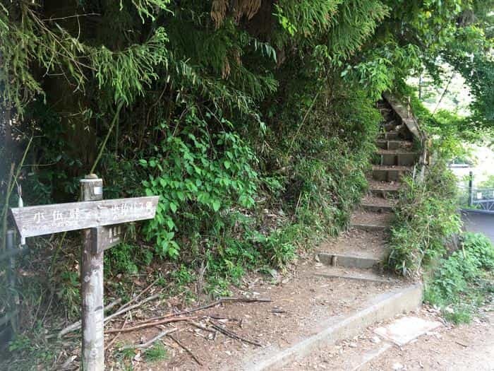 【山登り道】～低山には低山の魅力があるのです③～「奥高尾/陣馬山・景信山」