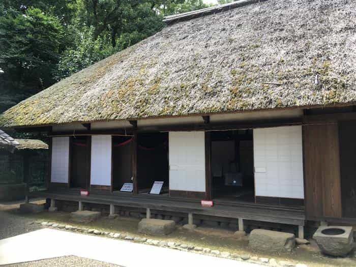 日本で3番目に大きい大仏が東京にあるってホント？？？乗蓮寺「東京大仏」