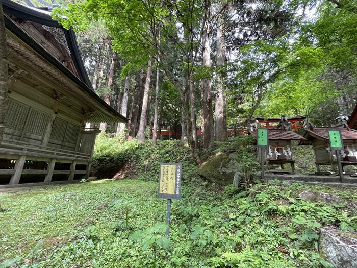 謎のアラハバキ神！？東北最強のパワースポット・丹内山神社【岩手県花巻市】