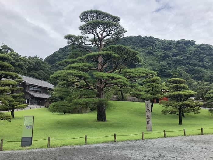 鹿児島でマイナスイオンに触れる旅