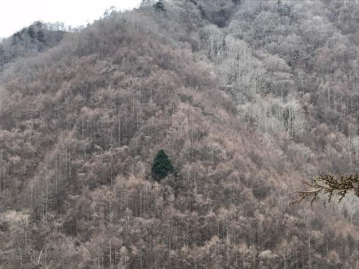 【秀麗富嶽十二景】最終十二番山頂の「本社ヶ丸」はマジきつかった。。。