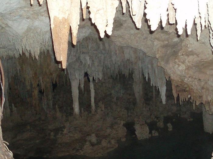 メキシコ・ユカタン半島のセノテの魅力とおすすめのセノテ