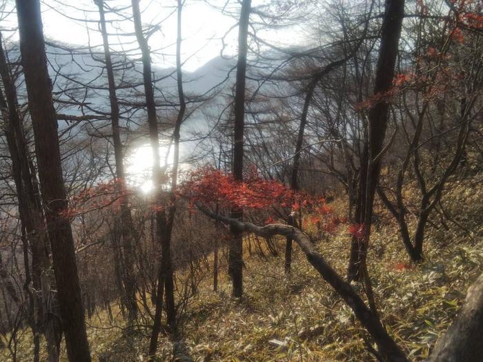 【紅葉登山】上毛三山（赤城山・榛名山・妙義山）晩秋の山旅