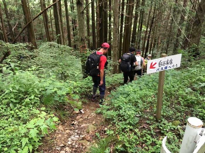 【奥武蔵で眺望の良い山】丸山・堂平山を縦走。最後に襲った悲劇とは・・・