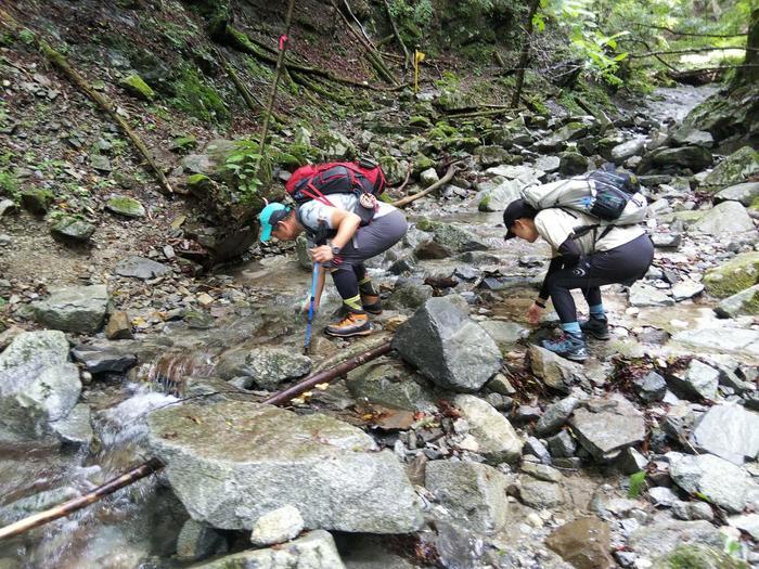 【真夏の低山登山】夏におすすめ！涼を求めて西丹沢・畦ヶ丸山を歩く