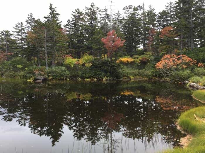 日本一早い紅葉！錦秋の北海道・大雪山ハイキング