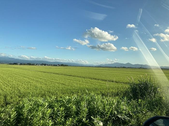 【やまがた出羽百観音】庄内三十三観音　山岳信仰の聖地と豊かな食・土地の恵み