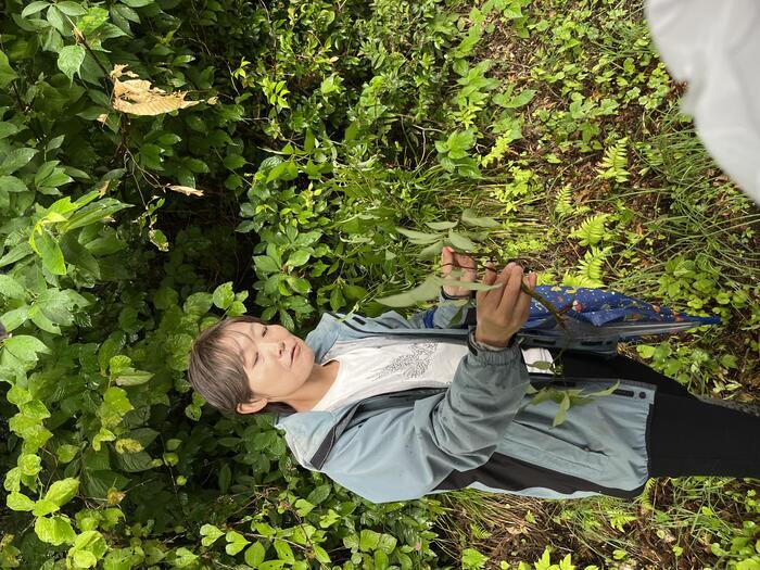 野菜や果物から始まる野菜ソムリエ的旅の組み立て方～富山への旅（初めての富山県）