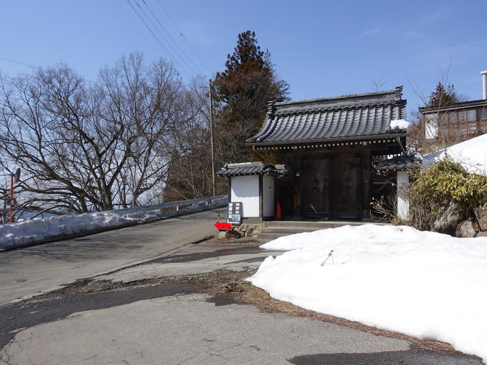 【長野】世界でここだけ！ニホンザルが温泉に入る地獄谷野猿公苑