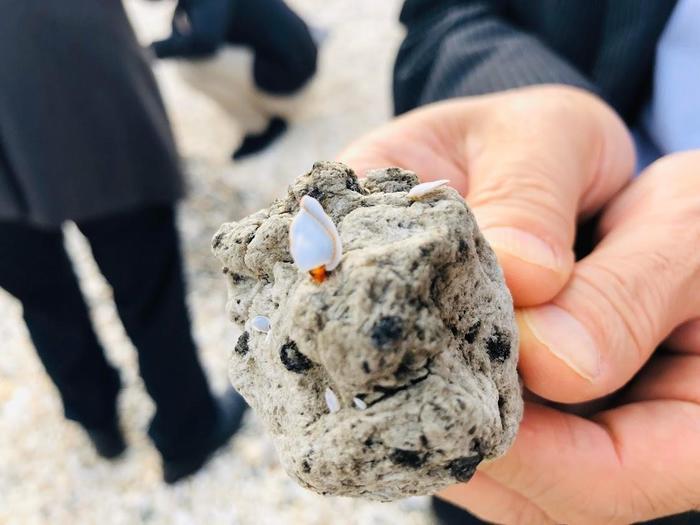 浜歩きのすすめ　徳之島の喜念浜ビーチで漂着物を見つけよう♪