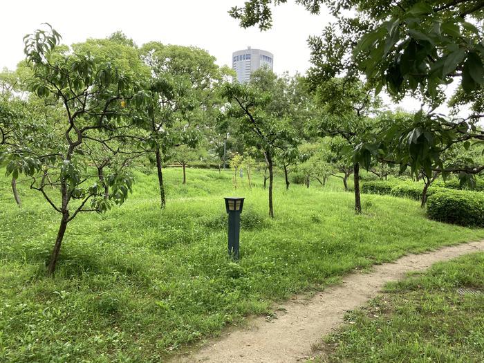 【大阪めくり歴史さんぽ】都会の名庭園・藤田邸跡公園を訪ねる