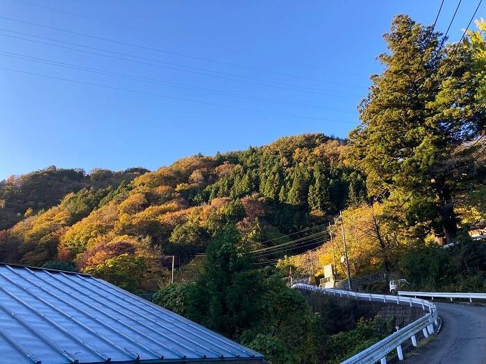 【群馬県】面積の約95%が森林という、自然に溢れた上野村で私が受け取ったものとは？