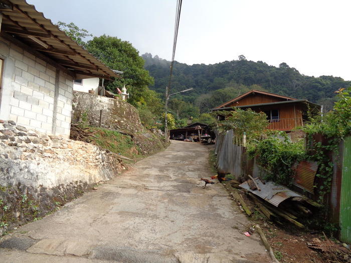 【タイ】バーン・ドイプイは山岳民族モンの村！実は見所の多いスポット