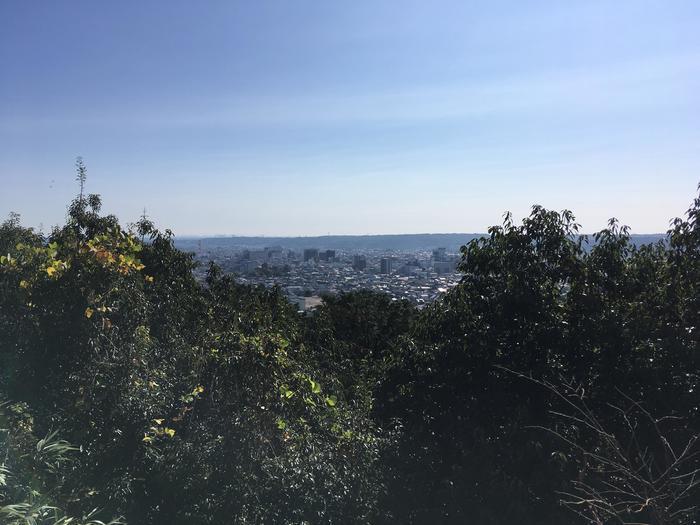 【埼玉県】飯能ハイキング・初心者向けコース（天覧山・多峯主山）