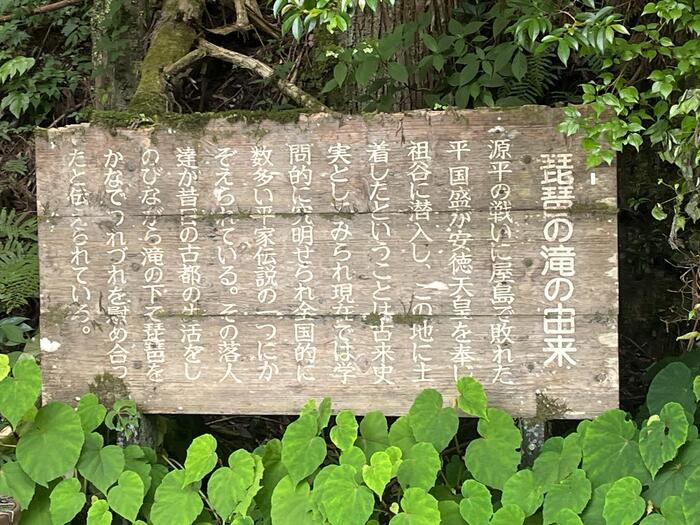 【徳島】日本三大秘境のひとつ四国のへそ付近にある大歩危と祖谷の見どころと名店を紹介