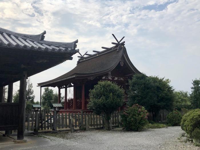 【拝仏記】兵庫・浄土寺の阿弥陀三尊様はまさに極楽浄土のよう