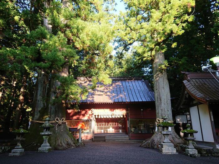 【山梨】富士山の麓・富士吉田市を自転車で周ってみた ～おすすめスポット7選も紹介します～